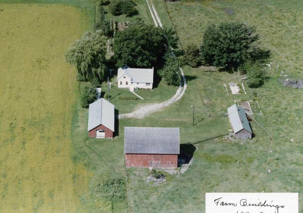 trees, Iowa, grass, driveway, Barns, Aerial Shots, Hahn, Cindy, Farms, history of Iowa, Sumner, IA, Iowa History