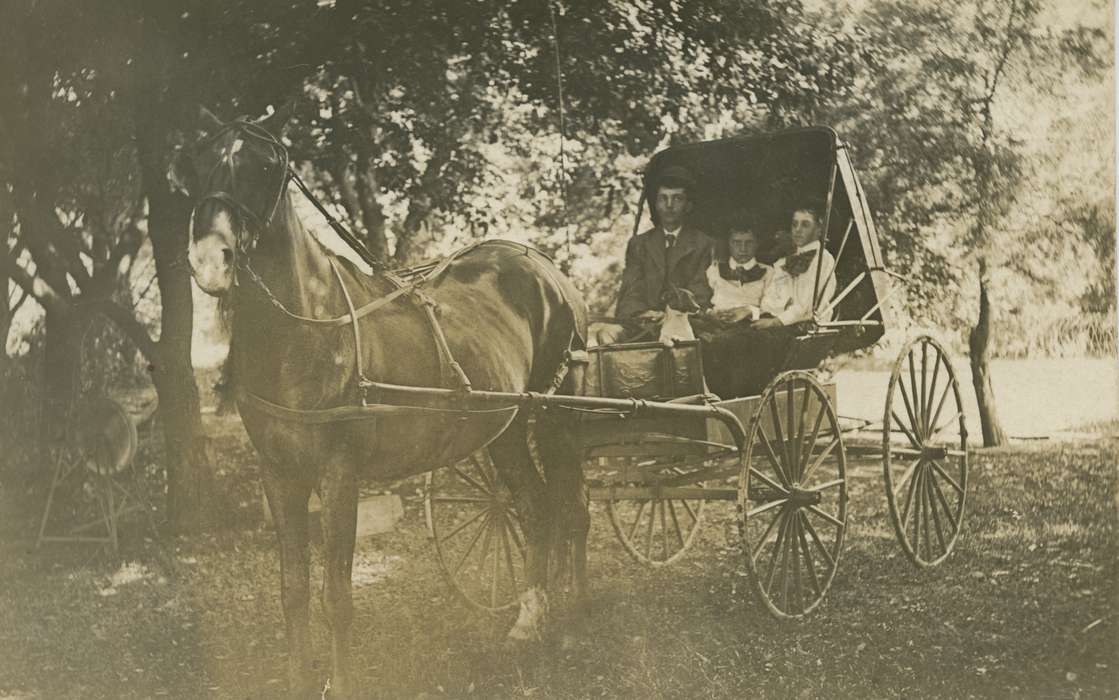 Portraits - Group, Hanlontown, IA, history of Iowa, Iowa History, Ihnen, Lorraine, horse and buggy, Animals, Iowa, horse, Children