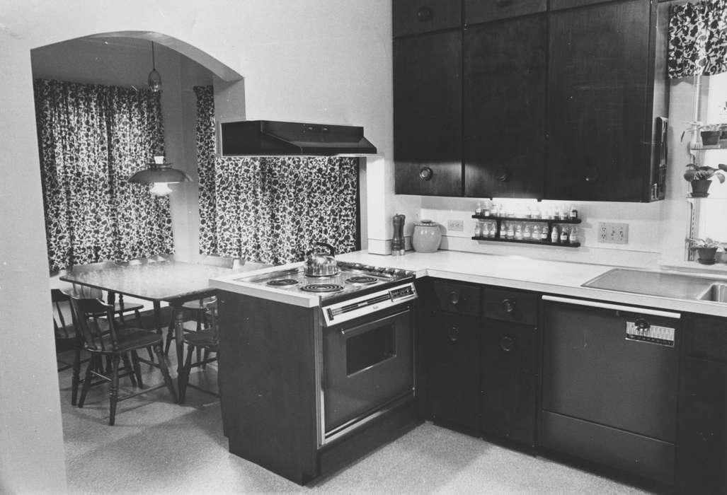 oven, history of Iowa, kitchen, Iowa History, tea kettle, curtains, dishwasher, stove, Iowa, Cedar Rapids, IA, Homes, Karns, Mike