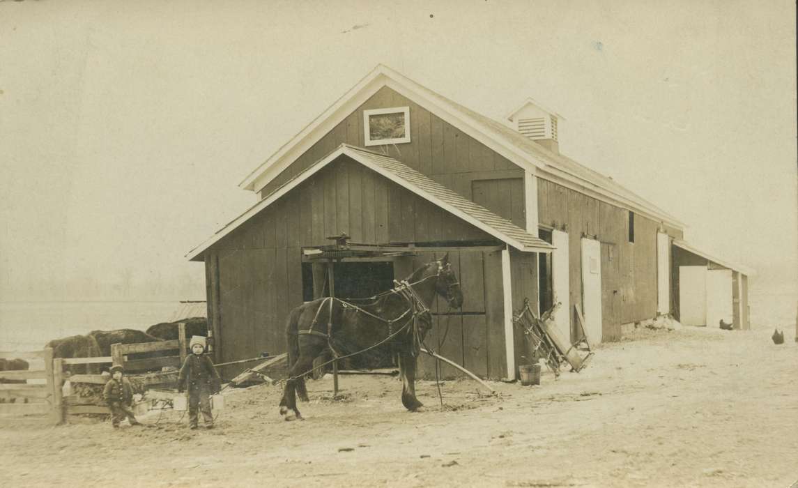 Iowa, Marvets, Peggy, Animals, Plainfield, IA, horse, snowsuit, Children, Barns, boys, Farms, Winter, history of Iowa, cow, Iowa History