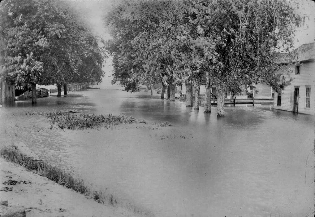 trees, Lemberger, LeAnn, Iowa, Ottumwa, IA, history of Iowa, Floods, Iowa History