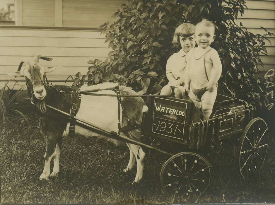 Portraits - Group, Animals, Waterloo, IA, Iowa History, Iowa, baby, goat, Palczewski, Catherine, Children, history of Iowa