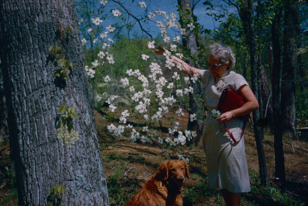 purse, history of Iowa, Iowa History, Harken, Nichole, Animals, Iowa, flower, dog, Portraits - Individual