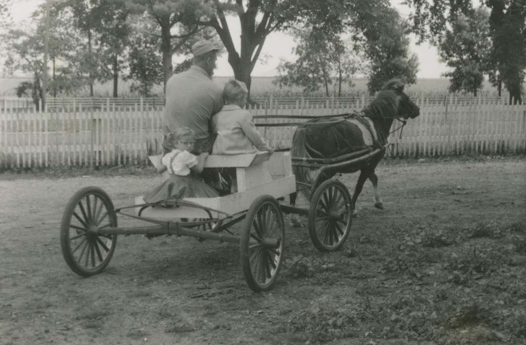 Farming Equipment, fence, pony, history of Iowa, Iowa History, Bull, Ardith, Animals, Dysart, IA, cart, wagon, Iowa, Outdoor Recreation, Children