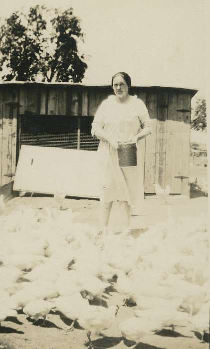 Animals, Portraits - Individual, feed, Iowa History, Iowa, Farms, chicken, chickens, chicken coop, history of Iowa, Spilman, Jessie Cudworth