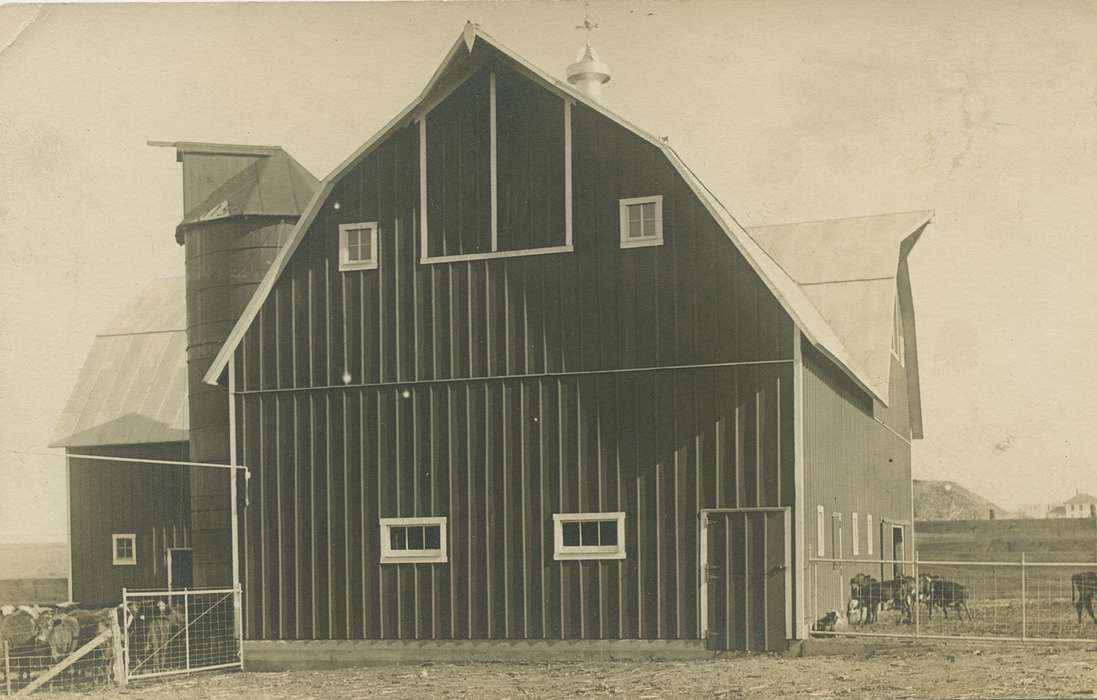history of Iowa, Iowa History, barn, cattle, Animals, farm, Palczewski, Catherine, silo, Iowa, Strawberry Point, IA, Farms