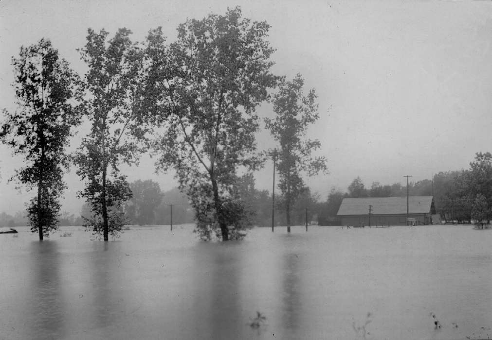 history of Iowa, Lemberger, LeAnn, Iowa, Ottumwa, IA, tree, Floods, Iowa History