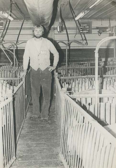 history of Iowa, Iowa History, IA, pig, Animals, pig pen, Iowa, pig farm, Waverly Public Library, Portraits - Individual