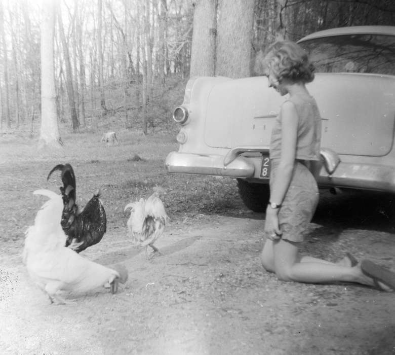 girl, Animals, Portraits - Individual, car, Iowa History, Iowa, Oelwein, IA, rooster, chicken, chickens, Kringlen, Linda, Leisure, history of Iowa