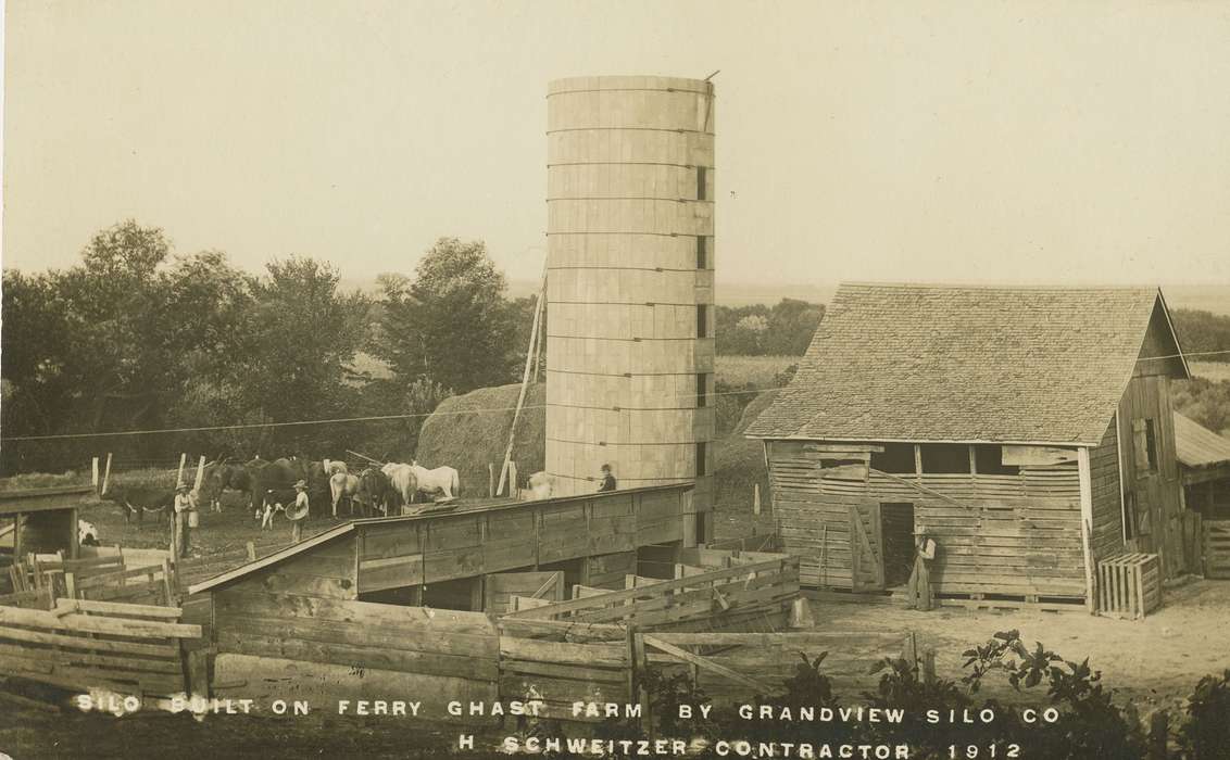 Iowa, cattle, Animals, horse, Barns, Dean, Shirley, Farms, Grandview, IA, history of Iowa, cow, Iowa History, silo