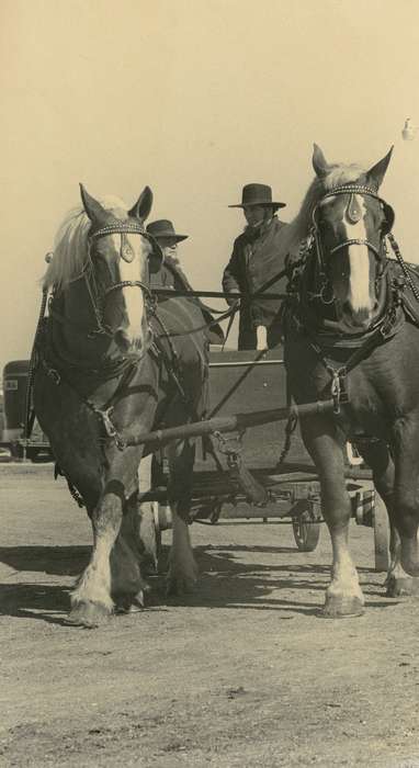 Waverly Public Library, history of Iowa, Iowa History, Animals, Waverly, IA, horse and cart, Iowa, horse sale, hat