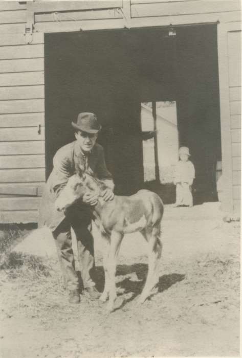 history of Iowa, Hazleton, IA, Farms, Barns, Animals, White, Lisa, Iowa, Portraits - Individual, Iowa History, horse, foal