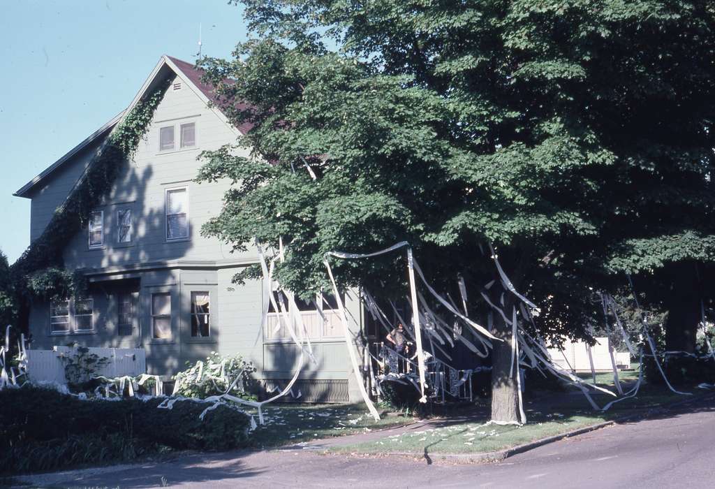 yard, history of Iowa, Iowa History, IA, toilet paper, vandalism, prank, white, Iowa, Zischke, Ward, fence, Homes