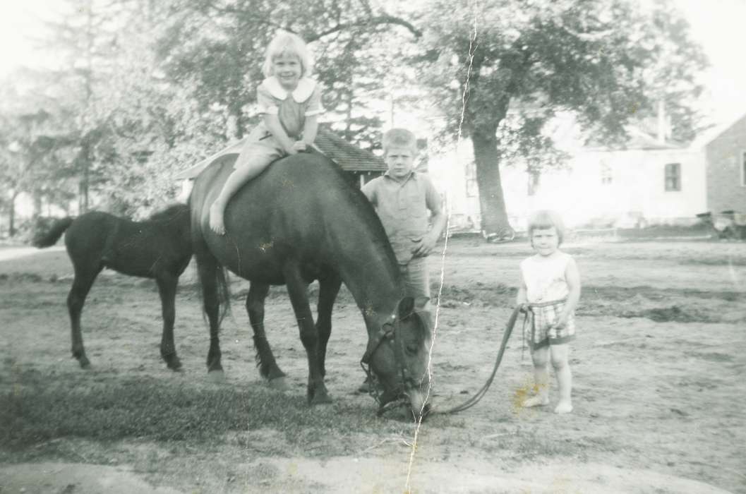 Brus, Mildred, Iowa History, Leisure, Children, Iowa, Farms, Alta Vista, IA, foal, history of Iowa, Portraits - Group, Animals, grass, horse