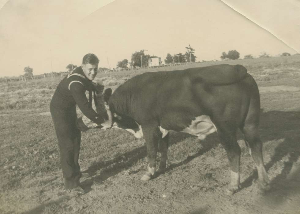 history of Iowa, Iowa History, Animals, Stater, Connie, Iowa, cow, Farms, Centerville, IA
