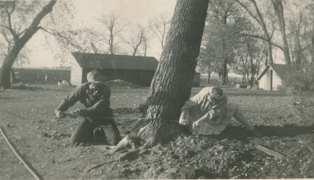 Farming Equipment, history of Iowa, Iowa History, Saathoff, Drucinda, Iowa, saw, Farms, tree, Humboldt, IA, Labor and Occupations
