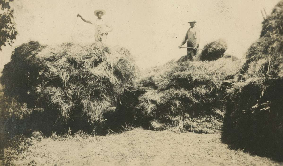 history of Iowa, Iowa History, harvesting, Mortenson, Jill, Macey, IA, hay, Iowa, Farms