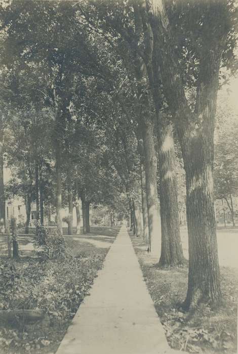 sidewalk, Waverly, IA, history of Iowa, Iowa, correct date needed, house, trees, Waverly Public Library, Iowa History, Landscapes