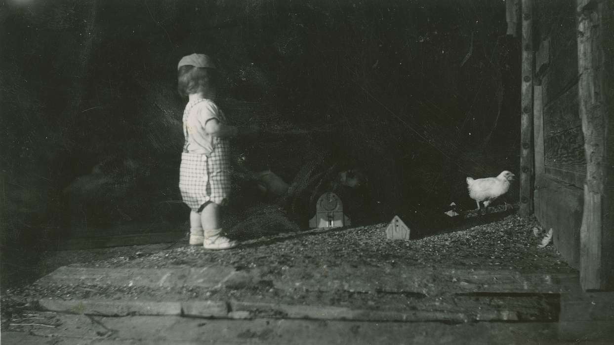 Animals, Children, Iowa History, Iowa, Farms, Fredericks, Robert, chickens, Barns, history of Iowa, Sherrills Mound, IA