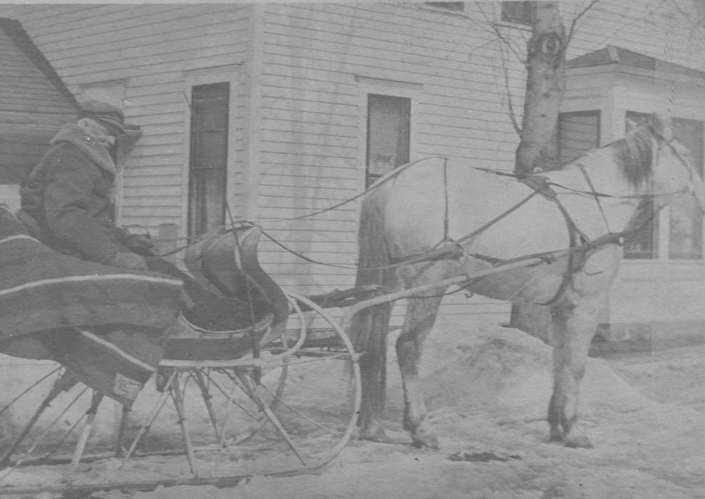 Iowa, sleigh, Myli, Diane, Animals, horse, Winter, history of Iowa, Iowa History, Northwood, IA