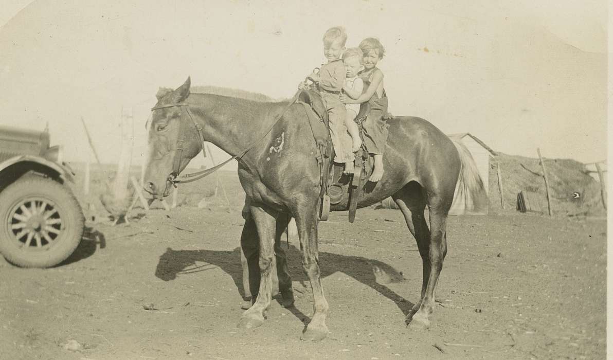 Animals, Iowa History, La Porte City, IA, Iowa, Rampton, Angela, horse, Farms, Children, history of Iowa