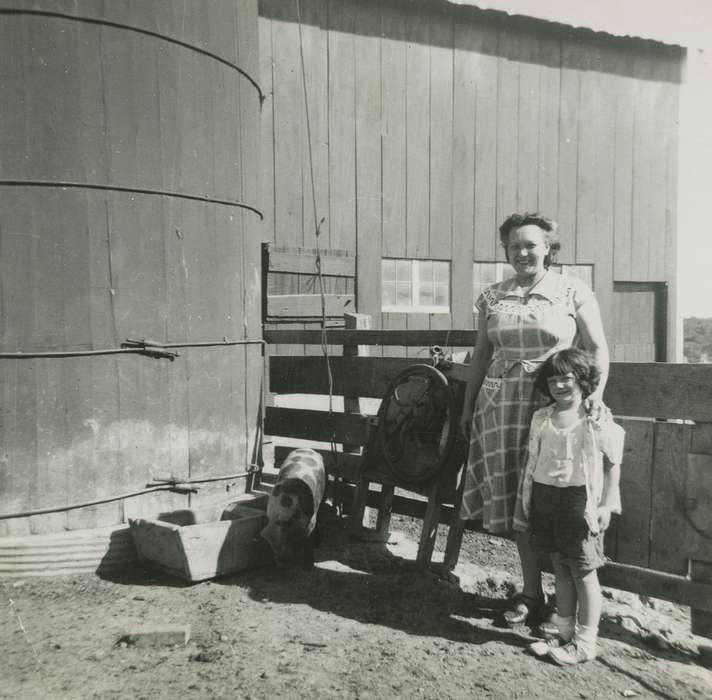 trough, Iowa History, Barns, Children, Iowa, Farms, history of Iowa, Portraits - Group, Animals, girl, pig, Families, hog, Sherrill, IA, Fredericks, Robert