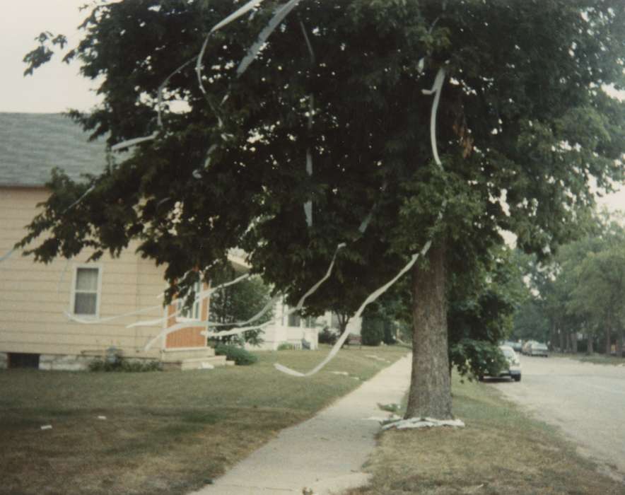 history of Iowa, Iowa History, Cities and Towns, Charles City, IA, toilet paper, Iowa, tree, Lyman, Donna