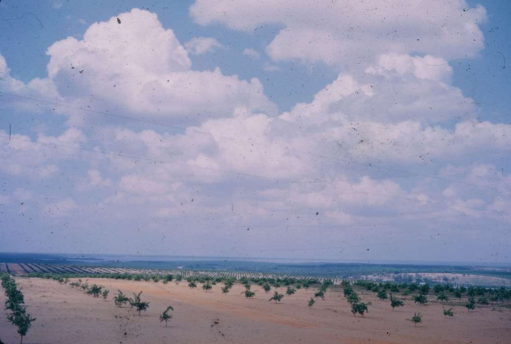 Iowa History, Iowa, field, Harken, Nichole, Farms, Travel, history of Iowa, Landscapes