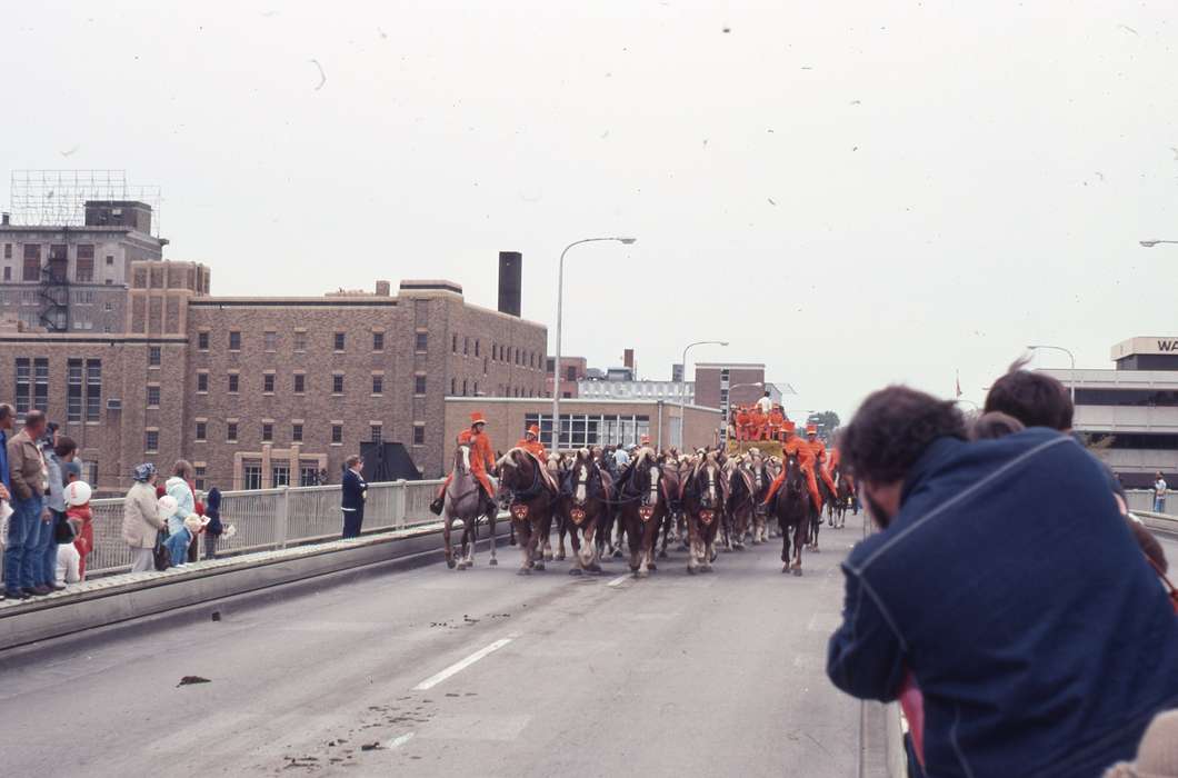 Animals, bridge, Waterloo, IA, Iowa History, Iowa, Zischke, Ward, horse, parade, Main Streets & Town Squares, history of Iowa