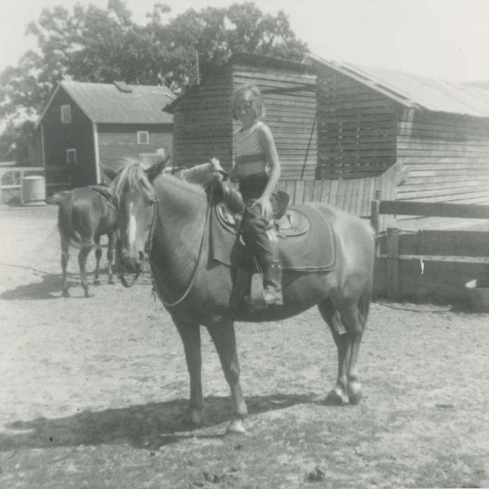 history of Iowa, Iowa History, Animals, Traer, IA, Iowa, Mountain, Carole, Farms, saddle, horse, Children