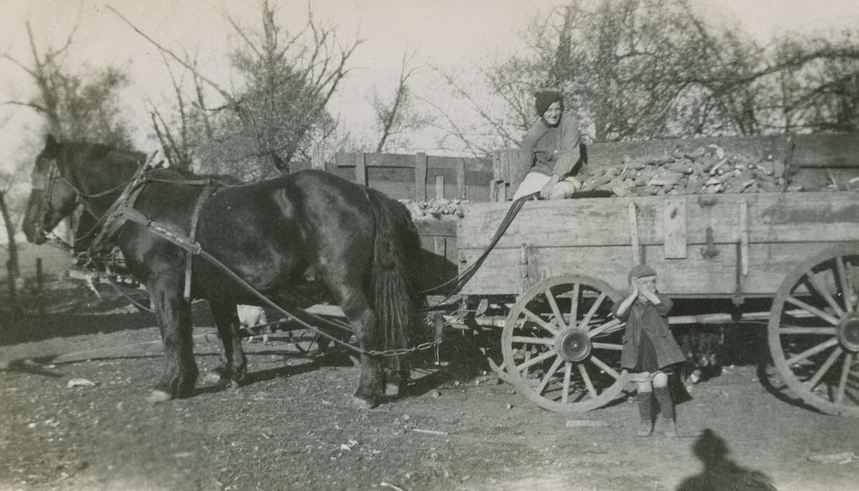 history of Iowa, Iowa History, Fort Atkinson, IA, Animals, farm, Vsetecka, Delores, wagon, Iowa, Farms, horses, farm equipment