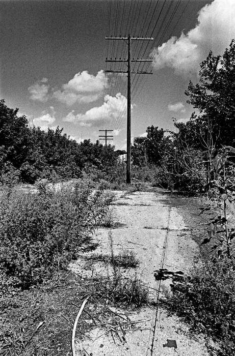 Ottumwa, IA, street, history of Iowa, Lemberger, LeAnn, Iowa, Iowa History, Landscapes, tree, telephone pole