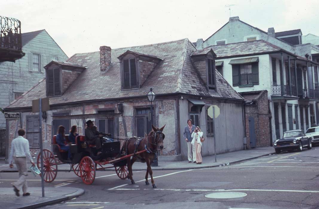 history of Iowa, Iowa History, horse carriage, Animals, Iowa, Zischke, Ward, USA, horse