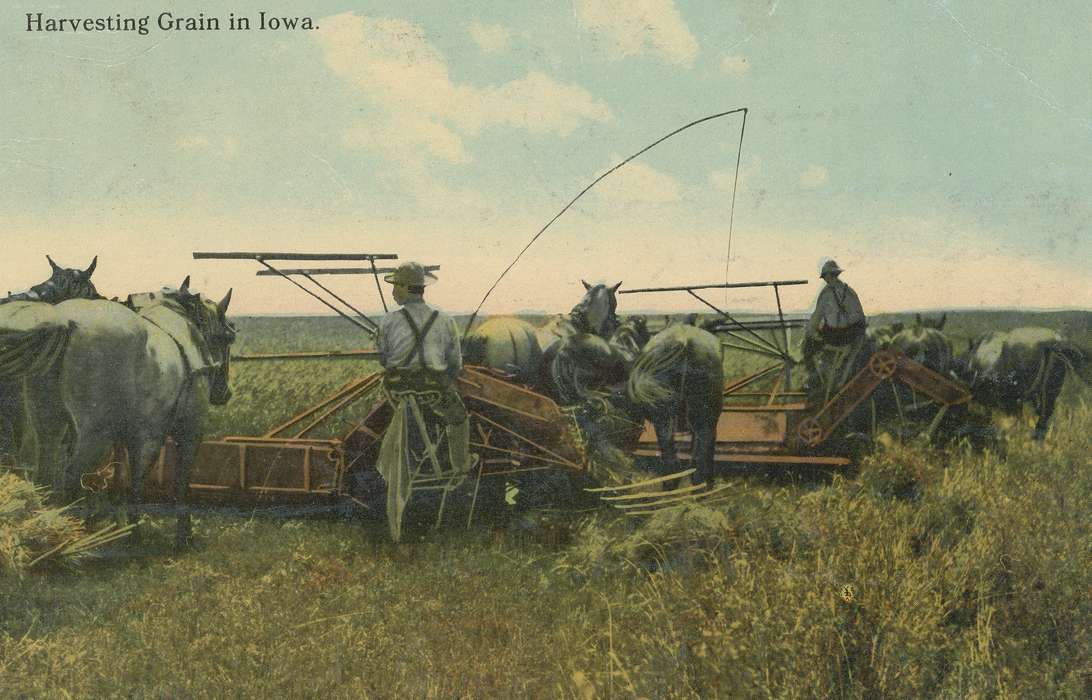 horse drawn, Iowa, Animals, harvesting, Meyer, Sarah, horses, wheat, Farming Equipment, Farms, history of Iowa, Waverly, IA, Iowa History, Labor and Occupations