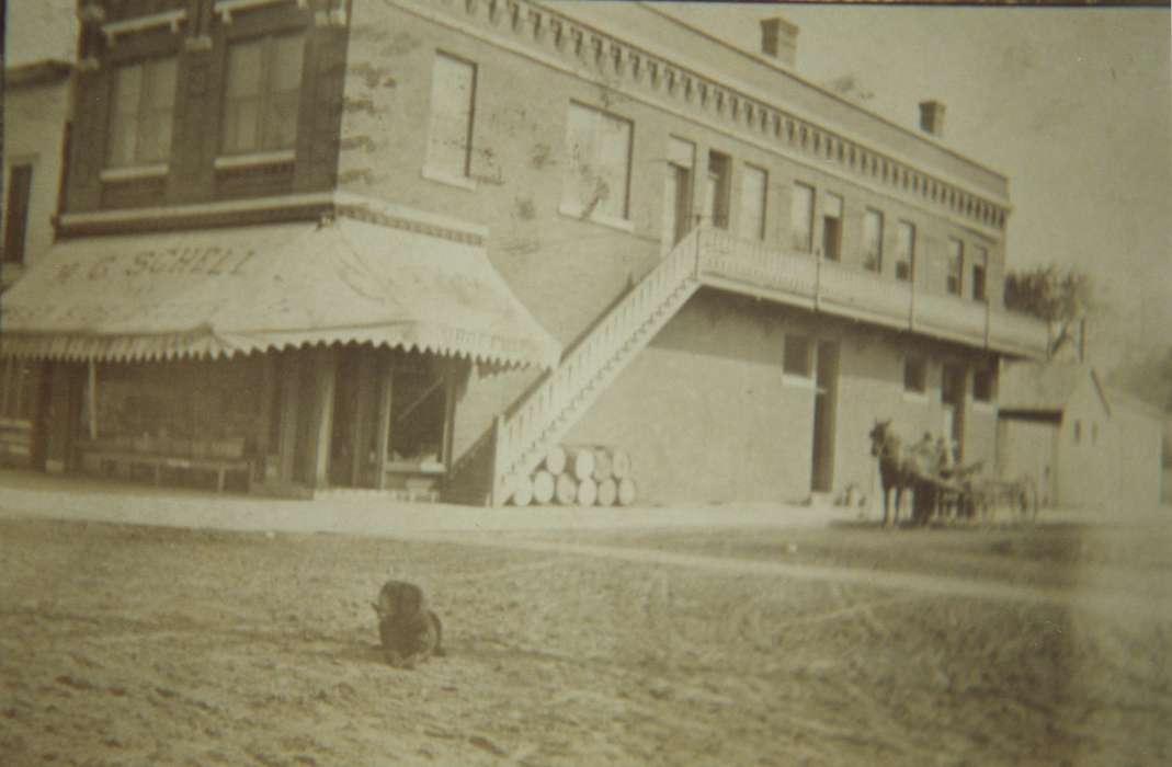 brick building, Iowa, Waverly Public Library, horse, dog, postcard, store front, dirt road, Cities and Towns, Businesses and Factories, history of Iowa, Waverly, IA, Main Streets & Town Squares, Iowa History, wagon