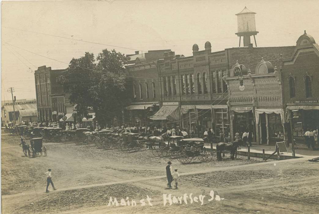 Main Streets & Town Squares, history of Iowa, Iowa History, horse and buggy, Businesses and Factories, Animals, Iowa, Hartley, IA, Cities and Towns, Palczewski, Catherine, horse, carriage