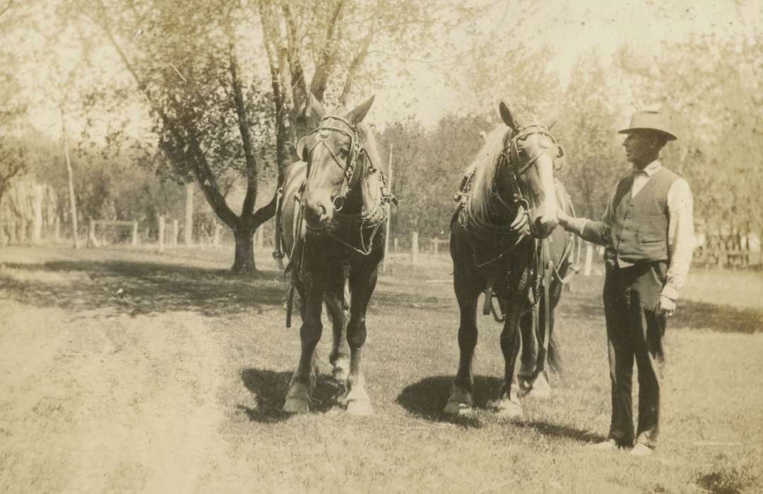 Portraits - Group, Macey, IA, Iowa, Animals, horse, Farms, history of Iowa, Iowa History, Mortenson, Jill