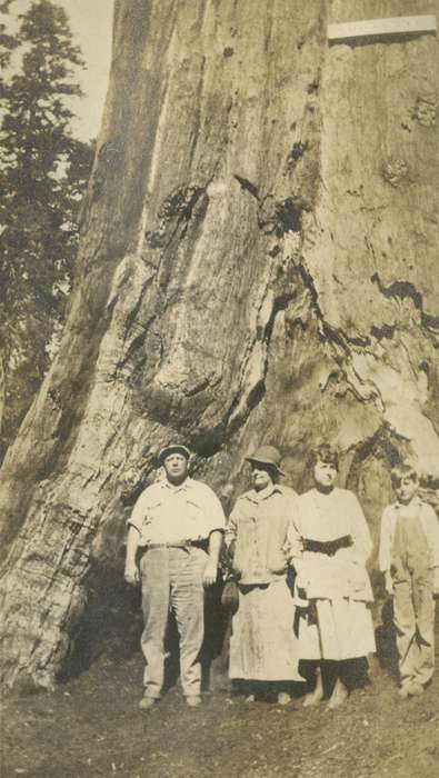 Portraits - Group, Iowa History, Mortenson, Jill, tree, Iowa, Travel, Grant Grove, CA, history of Iowa