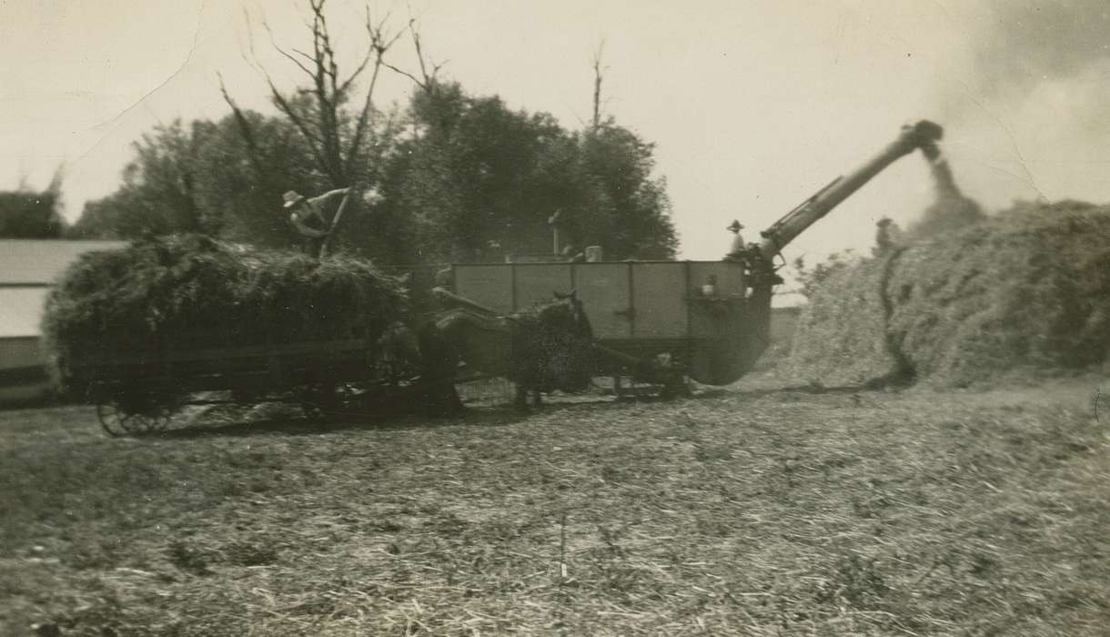 history of Iowa, Iowa History, horse, Fort Atkinson, IA, Animals, farm, Vsetecka, Delores, thresher, Iowa, Farms, threshing, farm equipment, machine, Labor and Occupations