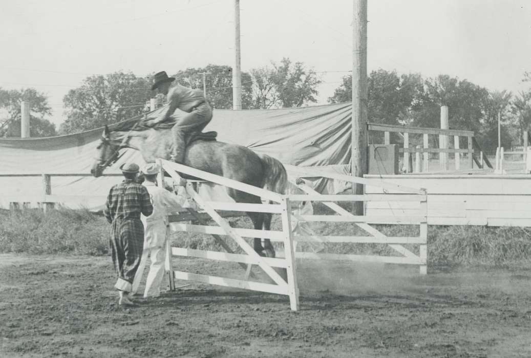 Iowa History, Waverly Public Library, Iowa, history of Iowa, hurdle, Animals, Outdoor Recreation, Waverly, IA, horse, gate