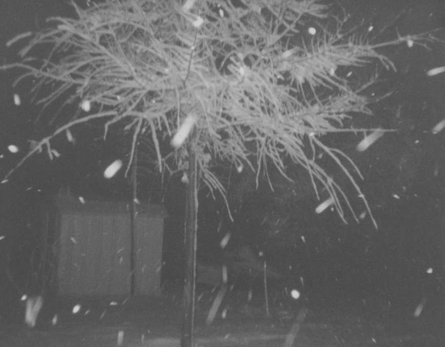 Patterson, Donna and Julie, history of Iowa, Iowa History, Winter, Iowa, Evansdale, IA, tree, snow