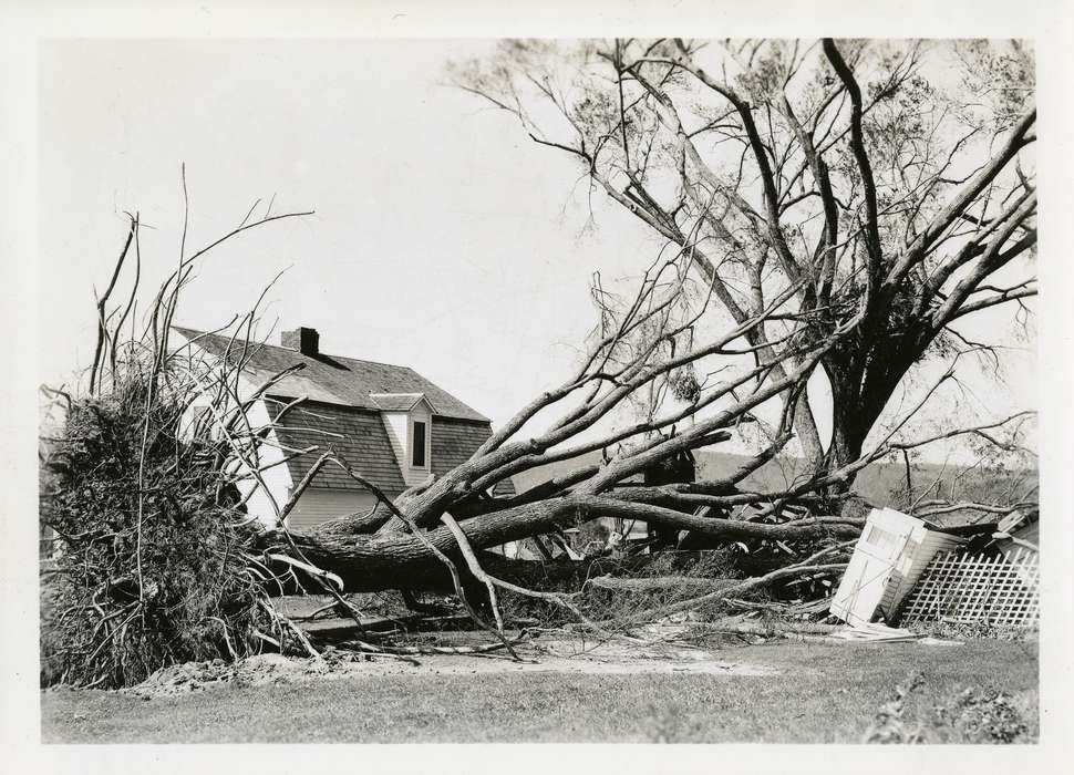 Iowa, house, Archives & Special Collections, University of Connecticut Library, Iowa History, Mansfield City, CT, history of Iowa, tree