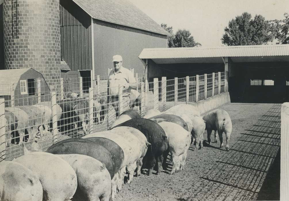history of Iowa, Iowa History, IA, pig, pig pen, Animals, Iowa, Farms, people, Waverly Public Library, Portraits - Individual