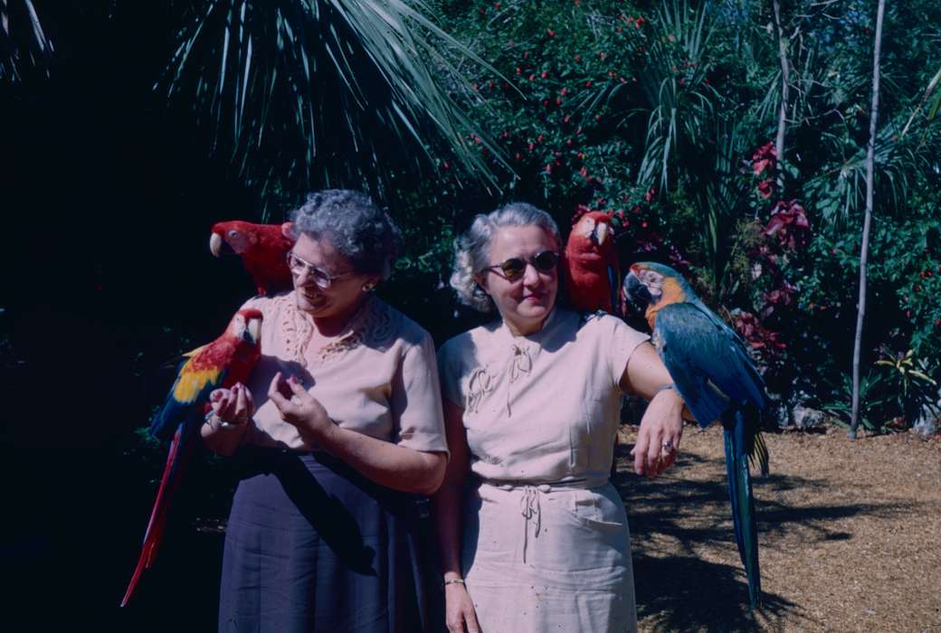 Portraits - Group, Travel, history of Iowa, Iowa History, Harken, Nichole, Animals, parrot, Iowa, zoo