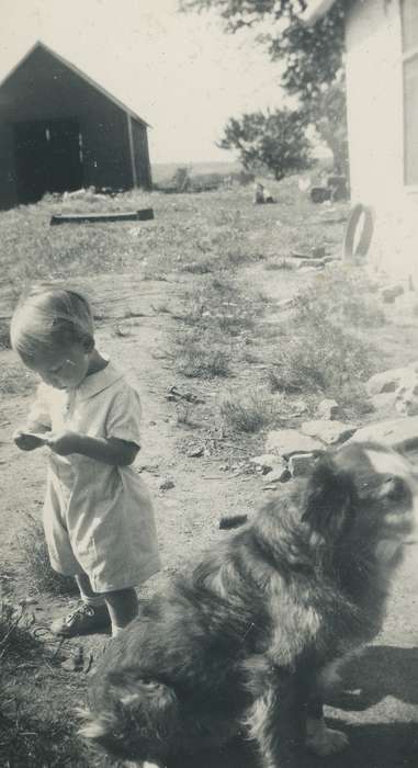 child, dog, Spilman, Jessie Cudworth, history of Iowa, border collie, Animals, collie, Iowa, USA, boy, Children, Iowa History