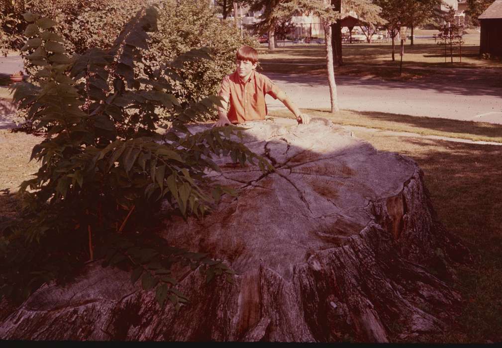 Outdoor Recreation, IA, Iowa, Children, Zischke, Ward, history of Iowa, tree stump, tree, Iowa History, park