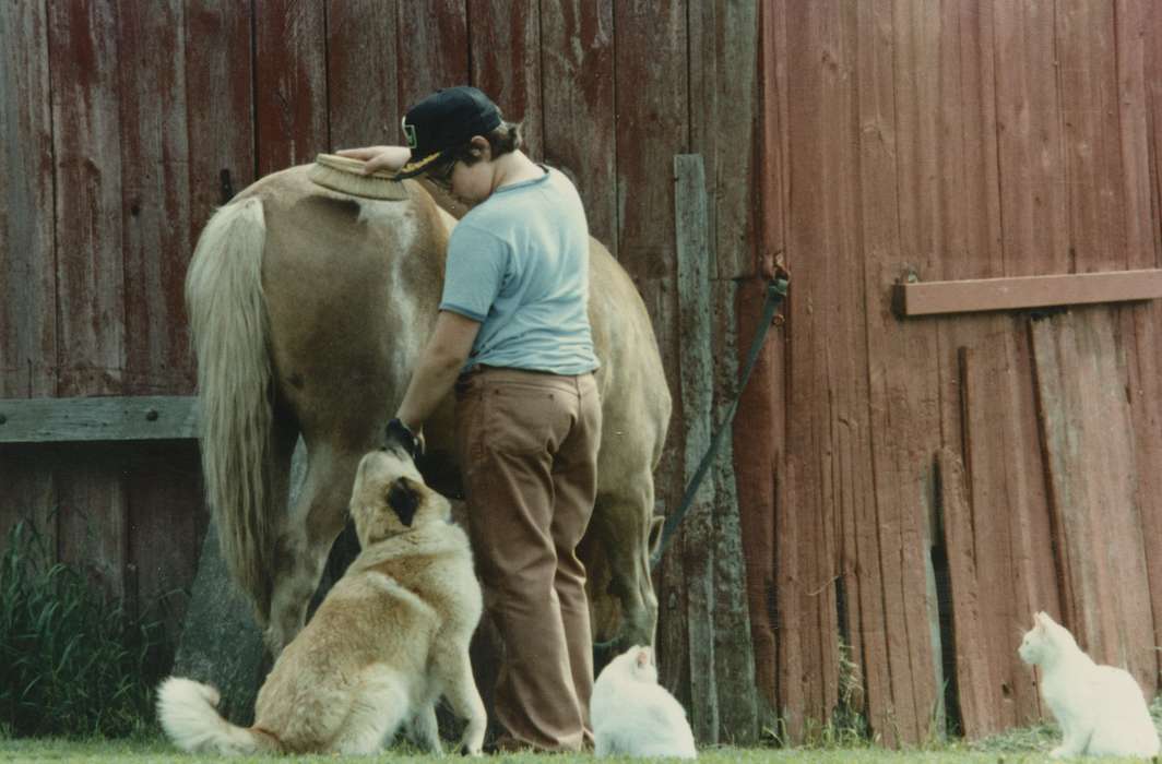 cat, history of Iowa, Iowa History, Marcus, IA, Barns, Animals, hat, Iowa, boy, Farms, horse, Children, dog, Berger, Cathy, Portraits - Individual