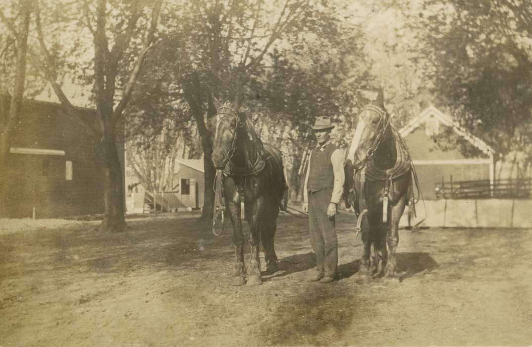 history of Iowa, Iowa History, Mortenson, Jill, Macey, IA, Animals, Iowa, Farms, horse, Portraits - Individual