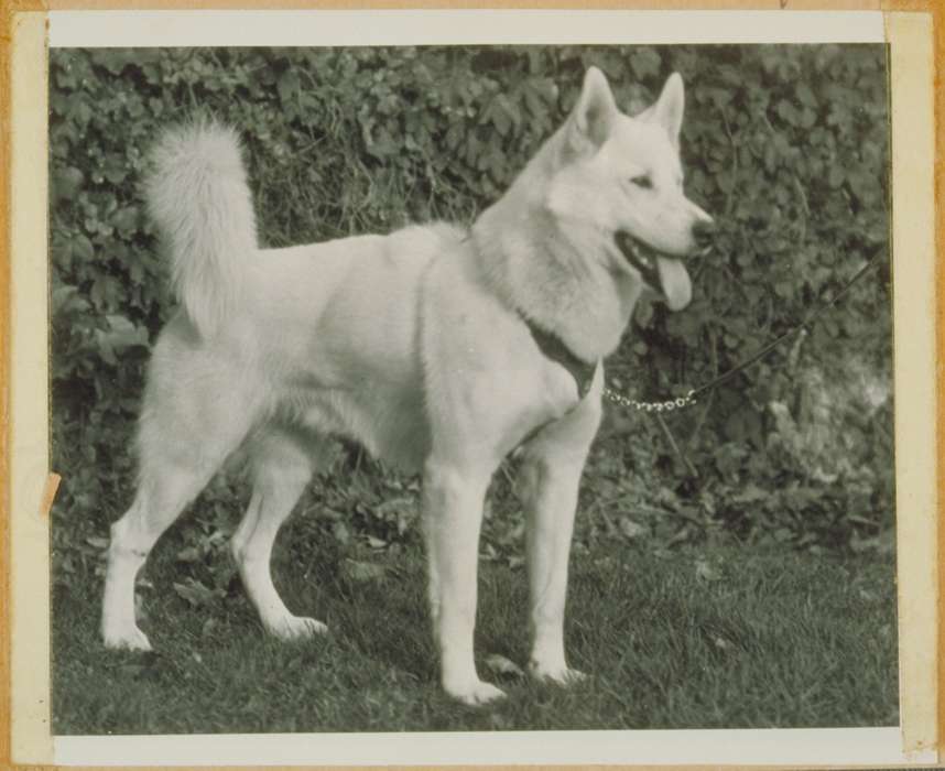 Iowa History, Archives & Special Collections, University of Connecticut Library, Storrs, CT, Iowa, history of Iowa