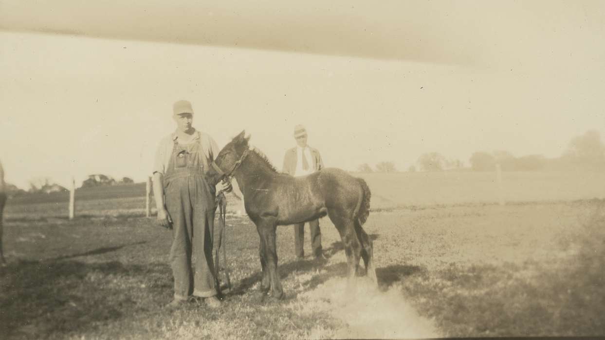 Portraits - Group, yard, men, history of Iowa, foal, Iowa History, Animals, percheron, Spilman, Jessie Cudworth, Iowa, Farms, correct date needed, horse, overalls, USA
